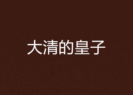 大清的皇子