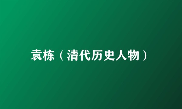 袁栋（清代历史人物）