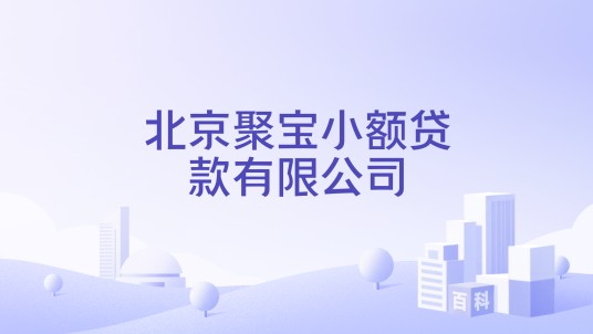 北京聚宝小额贷款有限公司