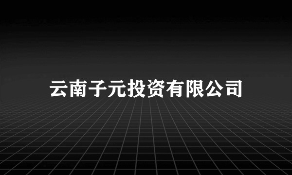 云南子元投资有限公司