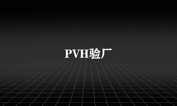 PVH验厂