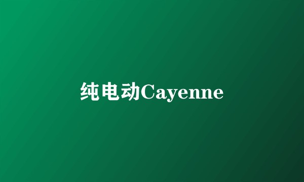 纯电动Cayenne