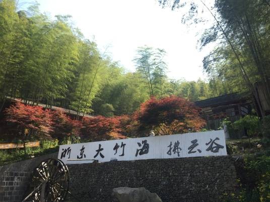 浙东大竹海