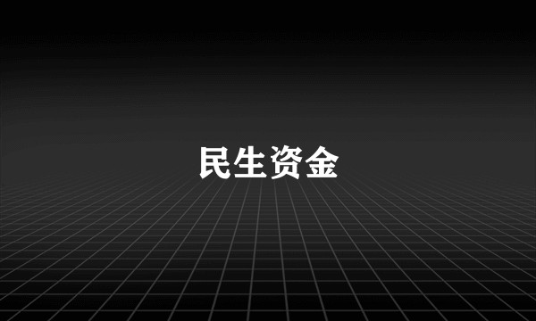 民生资金