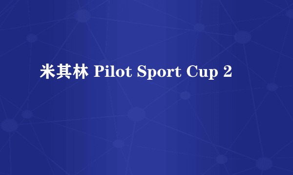 米其林 Pilot Sport Cup 2