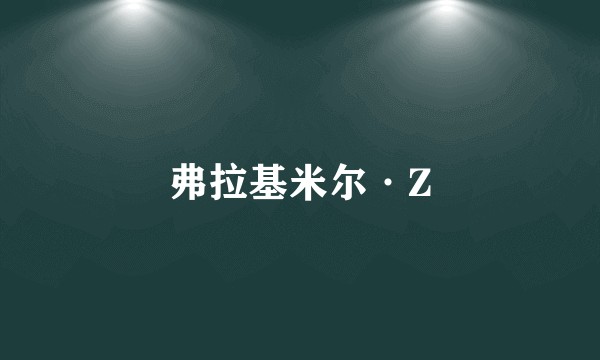 弗拉基米尔·Z