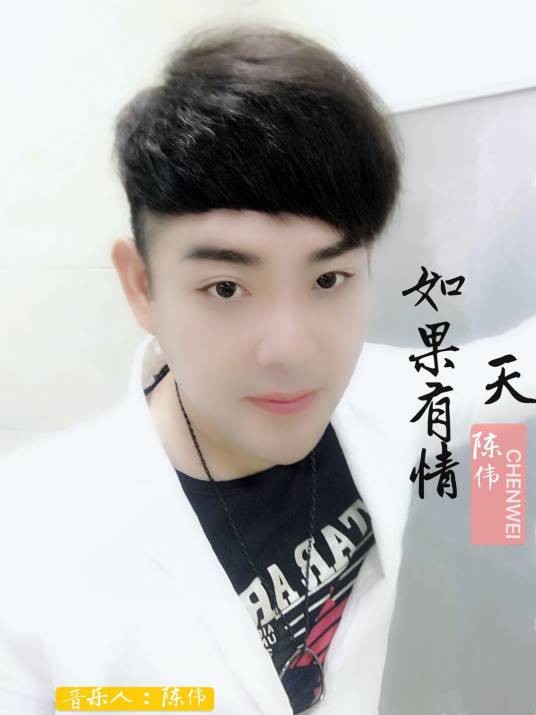 陈伟（中国内地音乐制作人、歌手）