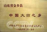 金乡大蒜节