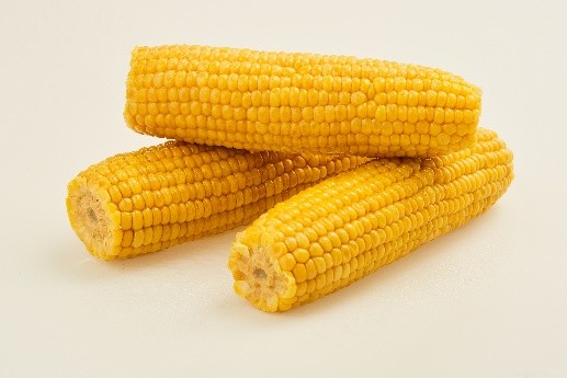 齐齐哈尔鲜食玉米
