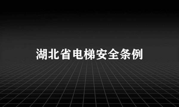 湖北省电梯安全条例