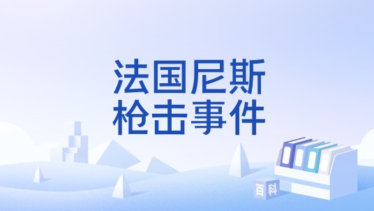 法国尼斯枪击事件