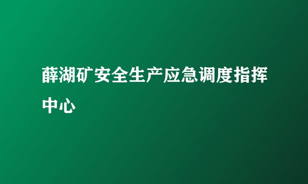 薛湖矿安全生产应急调度指挥中心