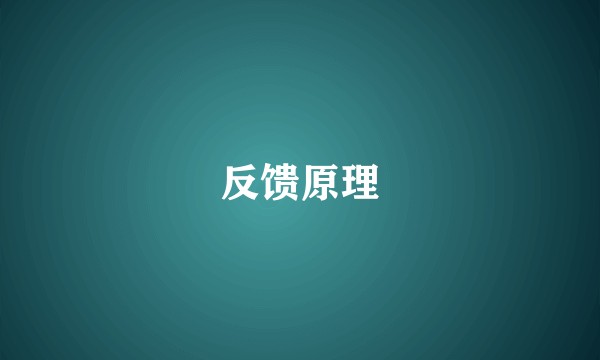反馈原理