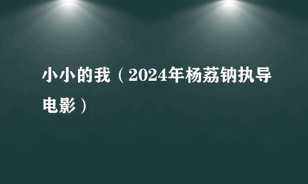 小小的我（2024年杨荔钠执导电影）