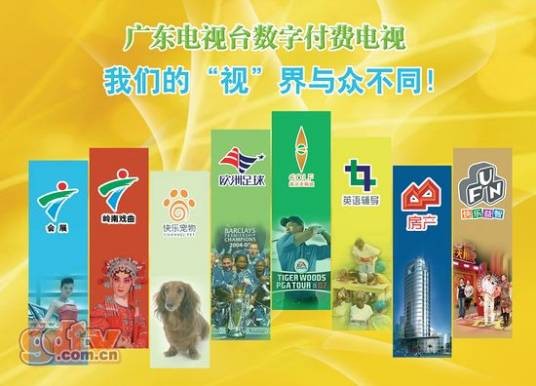 付费电视