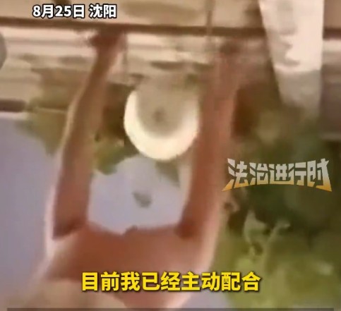 8·23沈阳男子违停摘葫芦事件