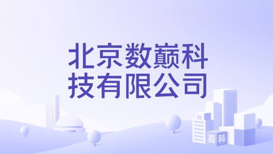 北京数巅科技有限公司