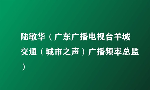 陆敏华（广东广播电视台羊城交通（城市之声）广播频率总监）