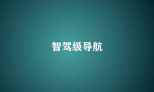 智驾级导航