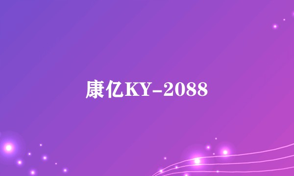 康亿KY-2088