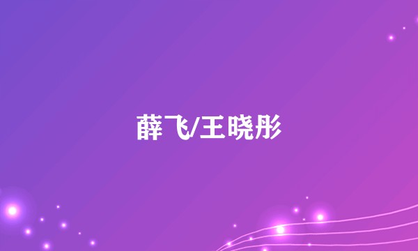 薛飞/王晓彤