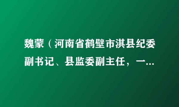 魏蒙（河南省鹤壁市淇县纪委副书记、县监委副主任，一级主任科员，一级监察官）