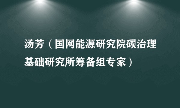汤芳（国网能源研究院碳治理基础研究所筹备组专家）