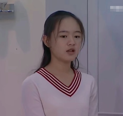 何静（电视剧《家有儿女4》中的角色）