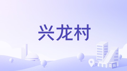 兴龙村（广东省中山市东升镇下辖村）