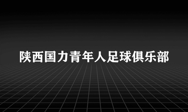 陕西国力青年人足球俱乐部