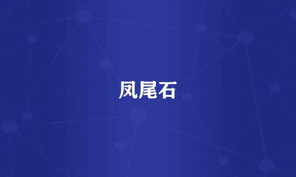 凤尾石