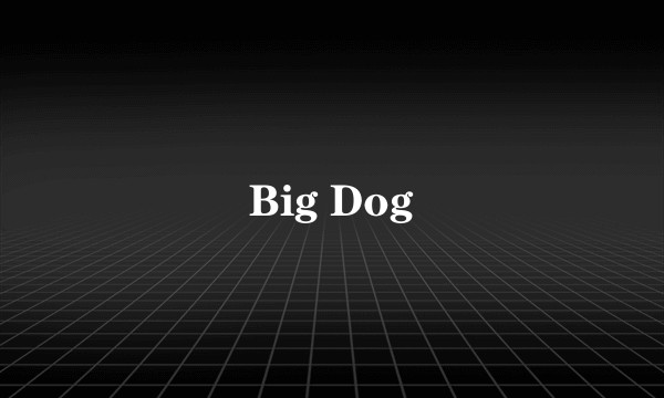 Big Dog