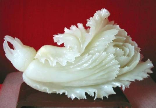 玉白菜