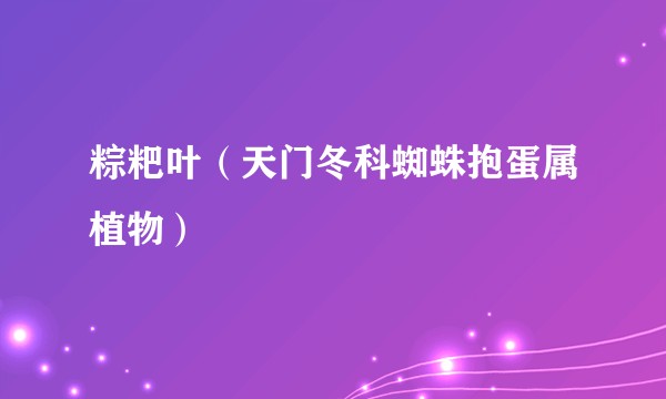 粽粑叶（天门冬科蜘蛛抱蛋属植物）