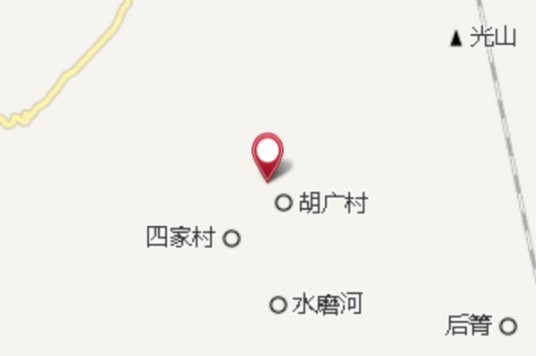 玉兰花树
