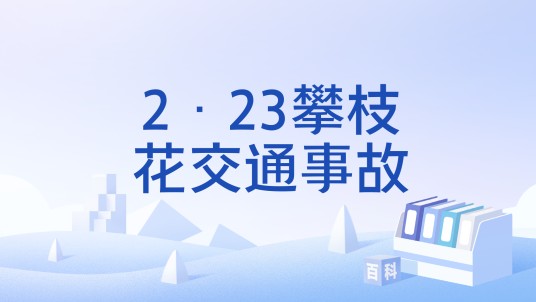 2·23攀枝花交通事故
