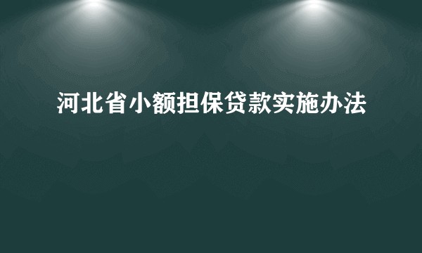 河北省小额担保贷款实施办法