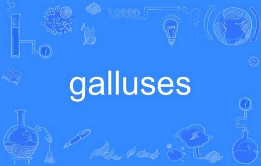 galluses