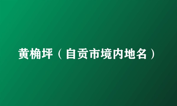 黄桷坪（自贡市境内地名）