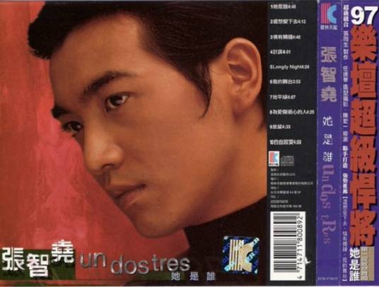 她是谁（张智尧演唱歌曲）