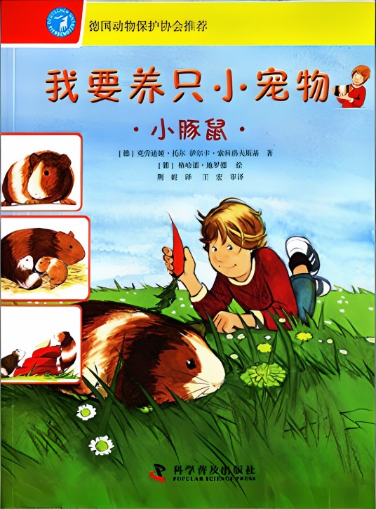 我要养只小宠物：小豚鼠