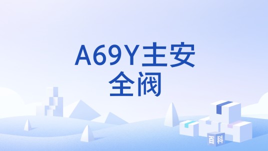 A69Y主安全阀