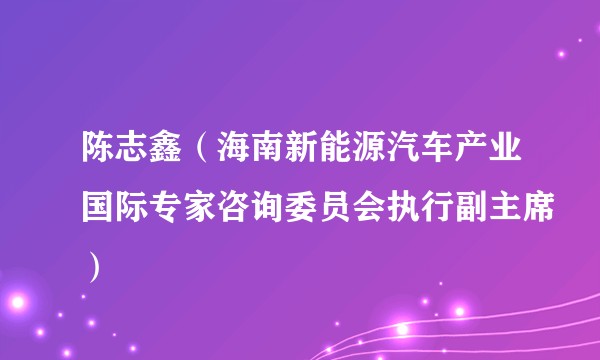 陈志鑫（海南新能源汽车产业国际专家咨询委员会执行副主席）