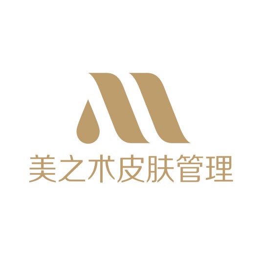 美之术