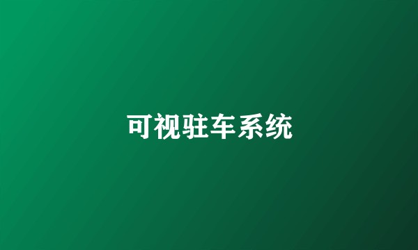 可视驻车系统