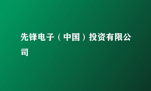 先锋电子（中国）投资有限公司