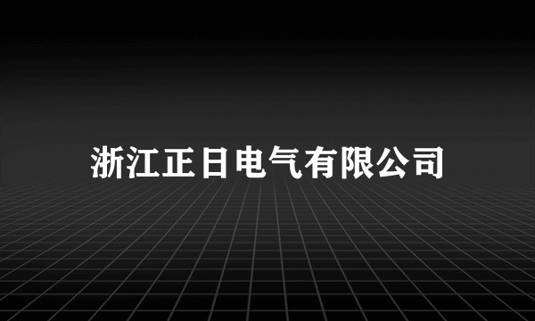 浙江正日电气有限公司