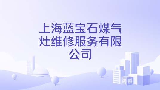 上海蓝宝石煤气灶维修服务有限公司