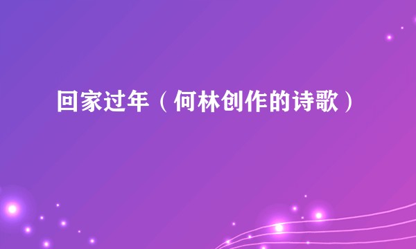 回家过年（何林创作的诗歌）