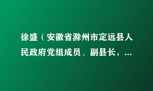 徐盛（安徽省滁州市定远县人民政府党组成员、副县长，县公安局局长、党委书记、督察长）